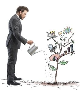 local seo business growth