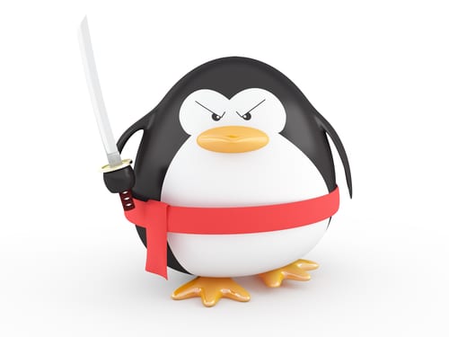 penguin algorithm update